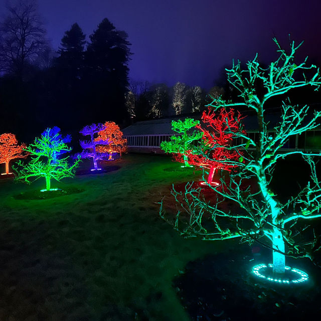 STOURHEAD CHRISTMAS LIGHTS!🎄