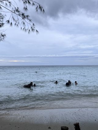 Gili Trawangan 3 Days Itinerary