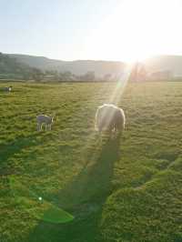 Peak District Adventure: Mam Tor, Lose Hill & a Pint in Castleton 🏞️🍺