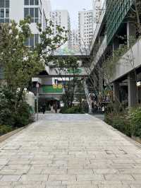Shanghai | Brilliant Columbia Circle with chill vibe 
