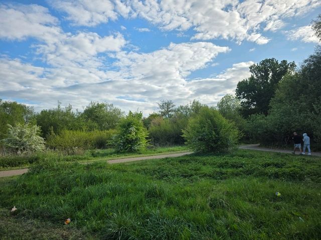 A Perfect Summer Day at Birmingham Airport Viewing Area – A Hidden Gem in Sheldon Country Park