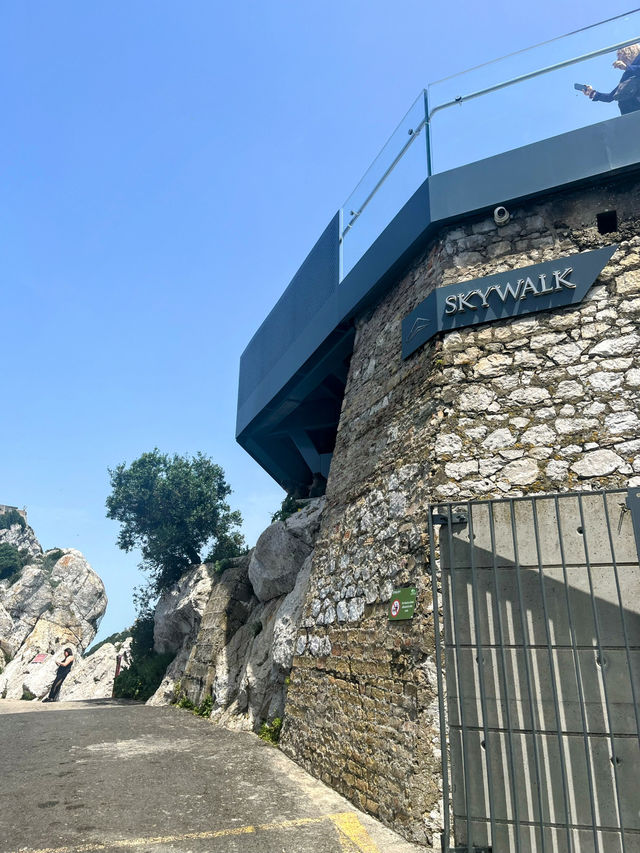 Monkeying around on Gibraltar🇬🇮 