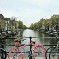Charming Canals & Culture: The Magic of Amsterdam
