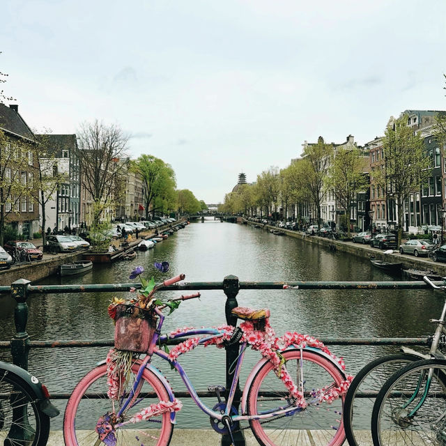 Charming Canals & Culture: The Magic of Amsterdam