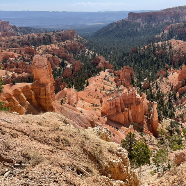 🌄 Bryce Canyon National Park: A Red Rock Dreamscape!