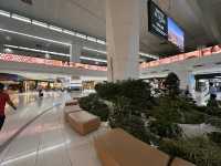 New Delhi airport: what to expect 