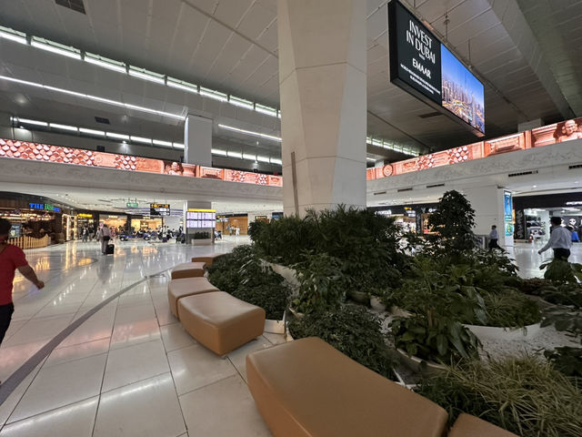 New Delhi airport: what to expect 