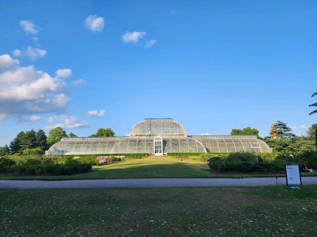 Summer at Kew's Garden