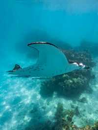 Maupiti: The Untouched Gem of Polynesia