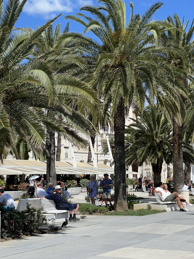 🇭🇷 克羅埃西亞斯普利特（Split） 🌴