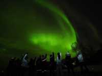 Northern Lights in Senja – A Magical Arctic Escape 🌌❄️