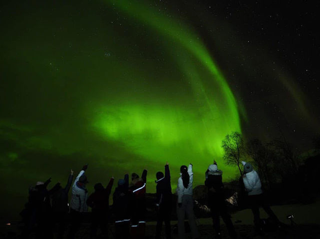 Northern Lights in Senja – A Magical Arctic Escape 🌌❄️