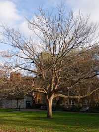 Winchester Autumn trip 2024