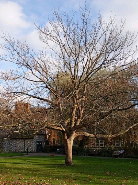 Winchester Autumn trip 2024 Winchester Autumn trip 2024