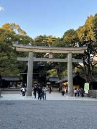 Japan Itinerary 9: Tokyo art, street, gardens and shrines