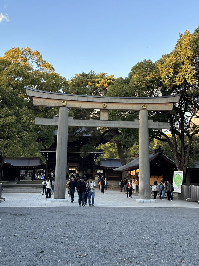 Japan Itinerary 9: Tokyo art, street, gardens and shrines