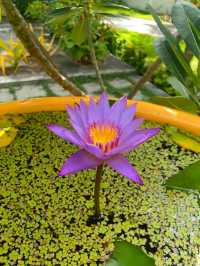 Мальдивы с малышом