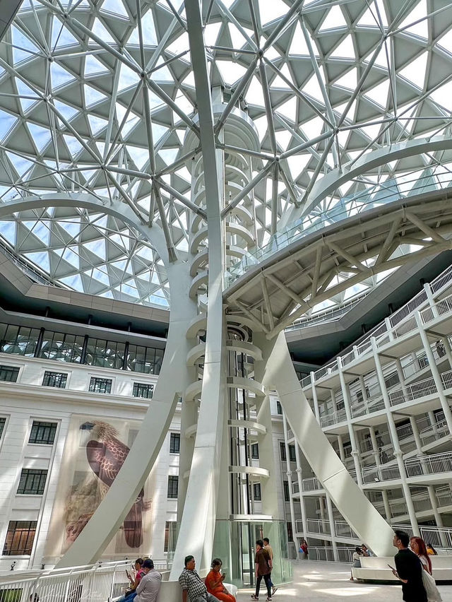 🇵🇭 Manila: The Enduring Heart of the Philippines