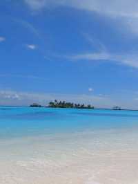 Maldives 🇲🇻 — Where Beauty Meets Opportunity