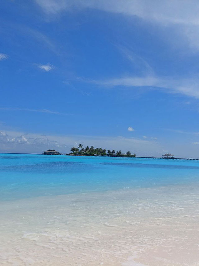 Maldives 🇲🇻 — Where Beauty Meets Opportunity Maldives 🇲🇻 — Where Beauty Meets Opportunity