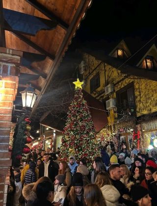 Forest Lanterns 🎄⛄🌟