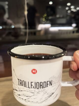 Chasing Norway’s magic one fjord at a time🚢💙