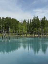 My favorite places in Hokkaido 