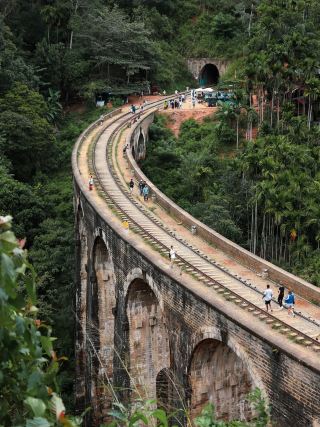 Endless hills, tea plantations, waterfalls and the train slowly curving through the landscape 
