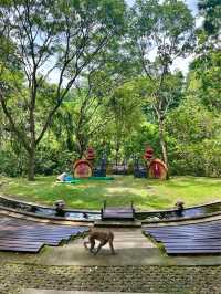 Sacred Monkey Forest - Ubud🐒🌿