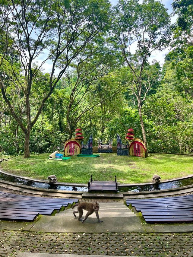 Sacred Monkey Forest - Ubud🐒🌿