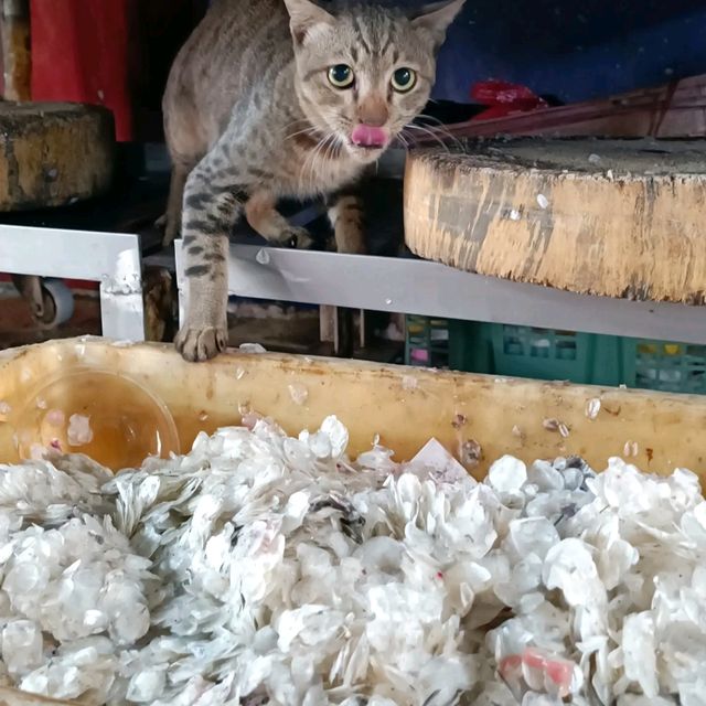 The famous Maeklong Railway Market 