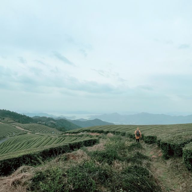 Wanghu Pavilion: Stunning Lake Views