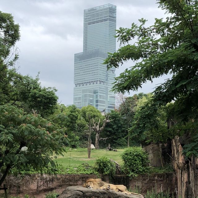 天王寺動物園