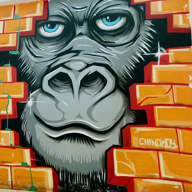 MAD monkey hostel 🇵🇭 