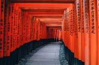 Japan Kyoto Travel Guide