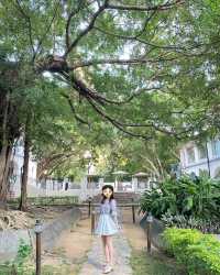 Tsim Sha Tsui's Best Spots | 6 Recommended British Retro Style Check-ins in Hong Kong