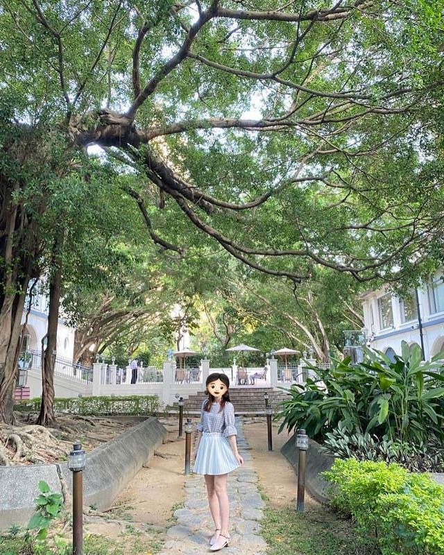 Tsim Sha Tsui's Best Spots | 6 Recommended British Retro Style Check-ins in Hong Kong