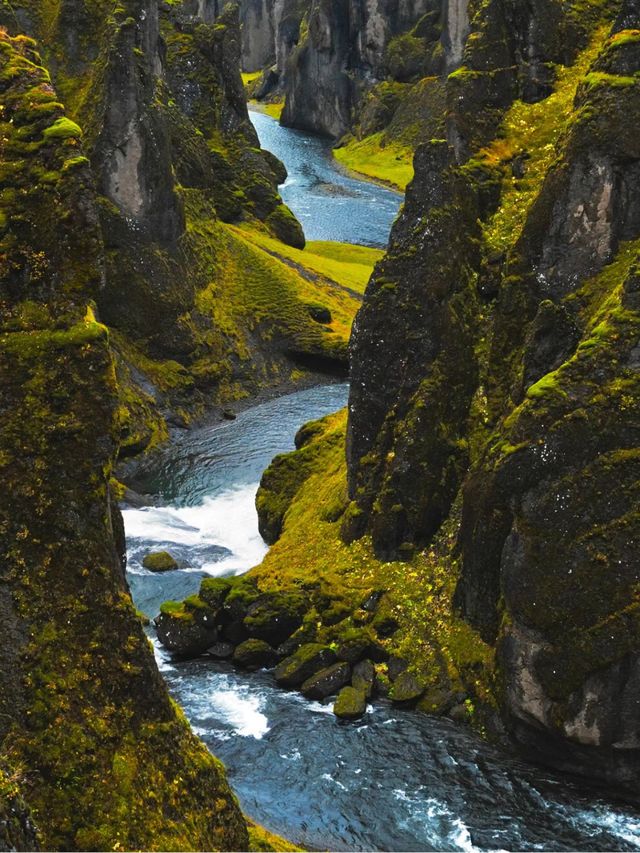 Island’s Must Visit- Fjaðrárgljúfur Canyon🇮🇸