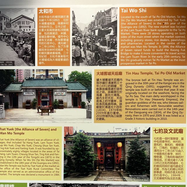 打卡香港綠匯學苑