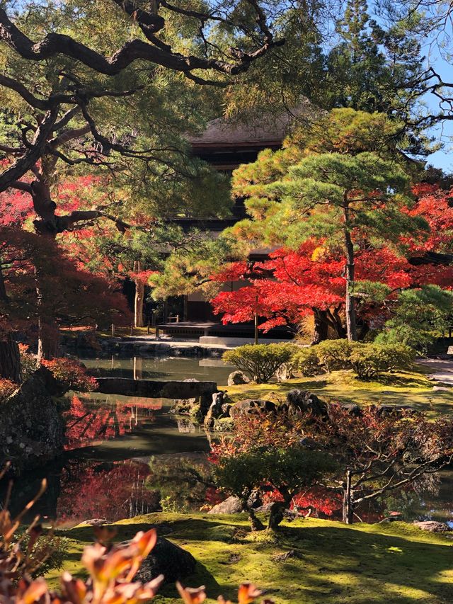 京都文化旅遊:銀閣寺