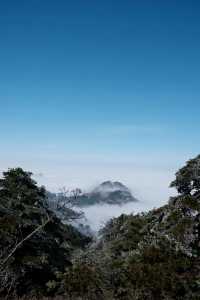 冬日霧凇 | 黃山仙境之行