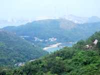 Lamma is Fabulous!