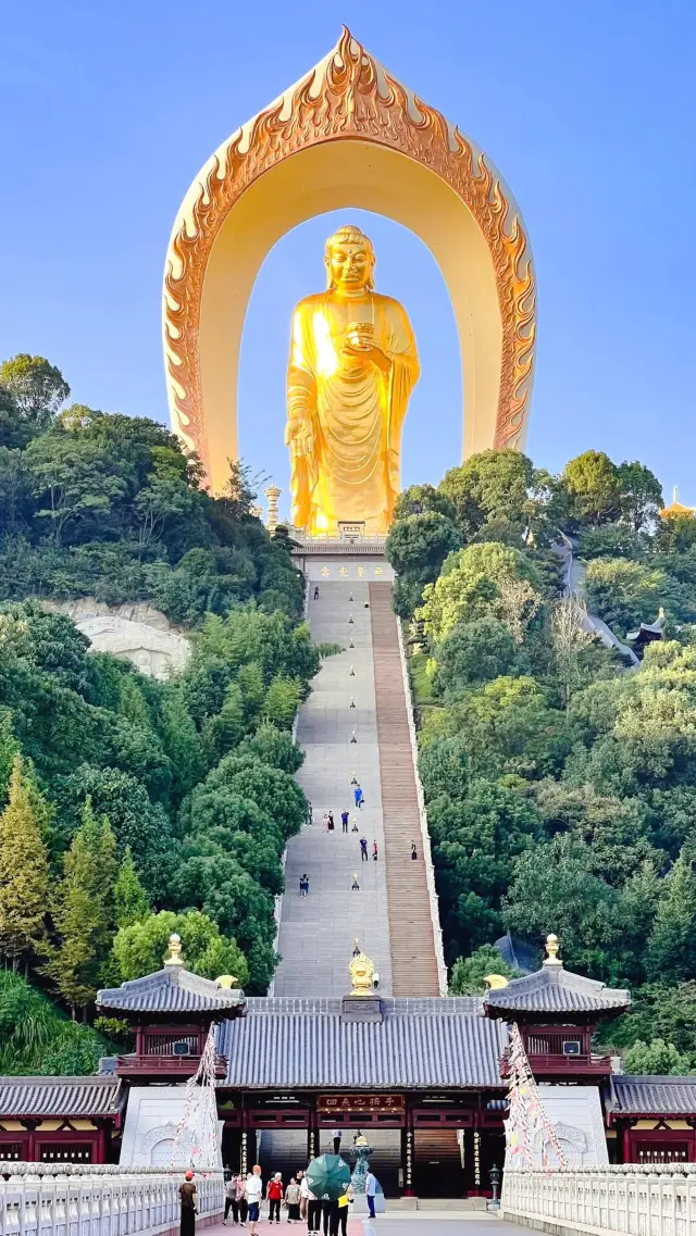 Travel check-in treasure|Donglin Big Buddha