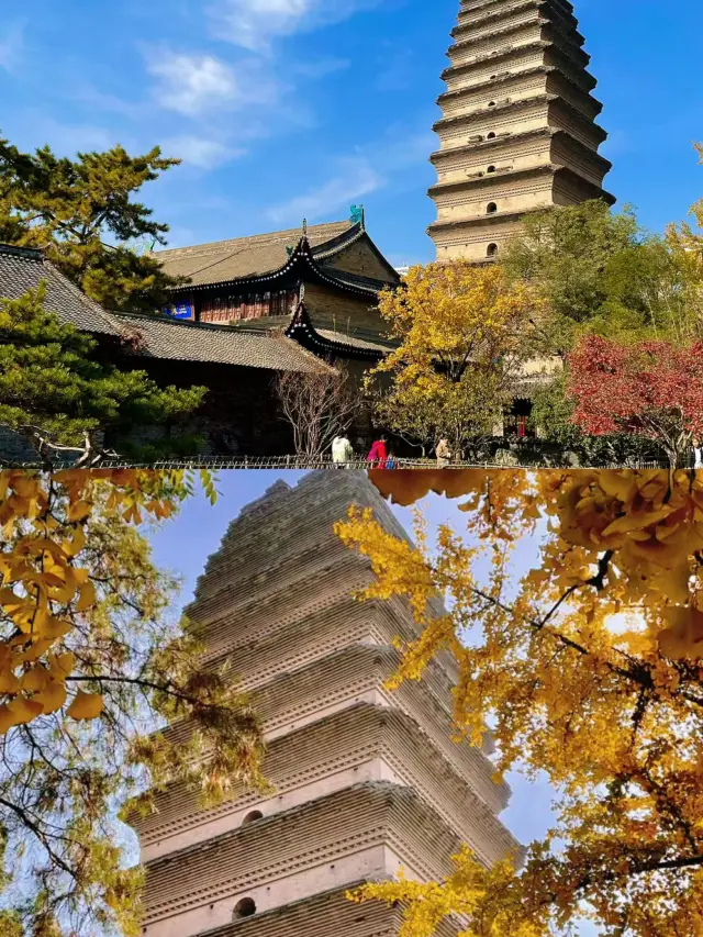 Autumn scenery of Xi'an Small Wild Goose Pagoda