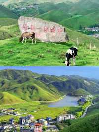 中國第一牧場:湖南的“呼倫貝爾”——南山大草原
