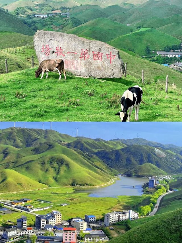中國第一牧場:湖南的“呼倫貝爾”——南山大草原