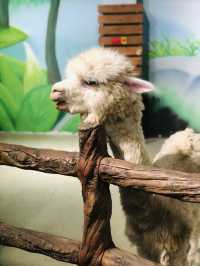 週末遛孩子去哪兒？南京海昌海洋世界探索館