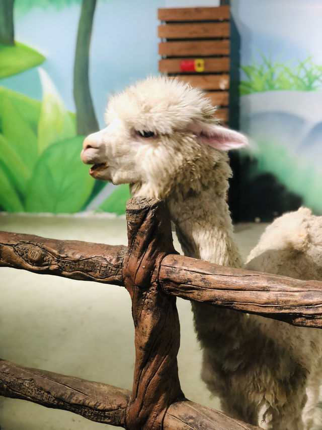 週末遛孩子去哪兒？南京海昌海洋世界探索館