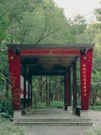 閒著也是閒著，不如去趟鎮海樓極目遠眺，放鬆心情