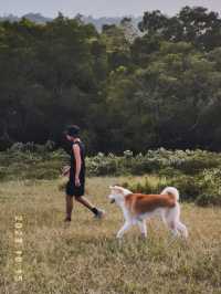 香港 | 40min登頂 在昂平大草原感受風和大海的魅力